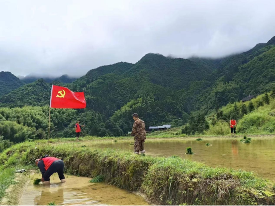 中方县蒿吉坪瑶族乡：党员干部齐上阵，助农插秧暖人心