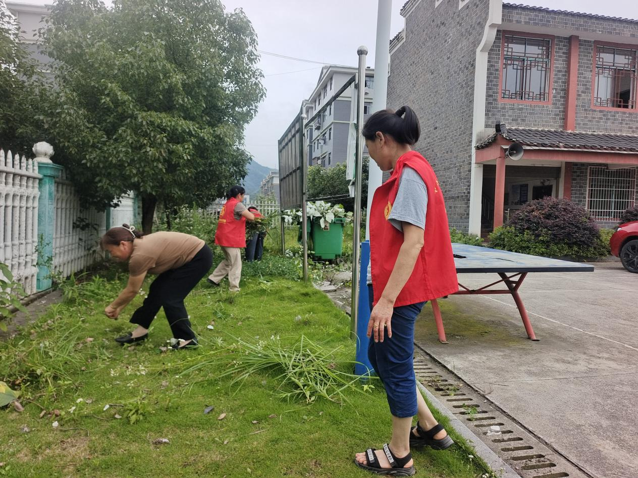 中方县中方镇长塘村：开展垃圾分类清理活动