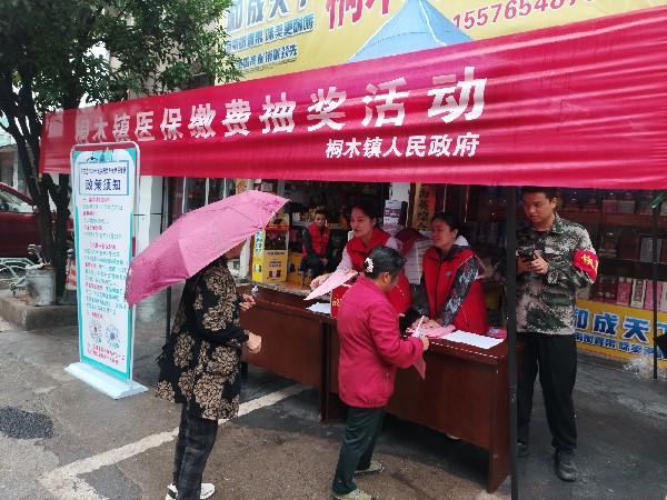 中方县桐木镇：多措并举扎实开展医保宣传活动