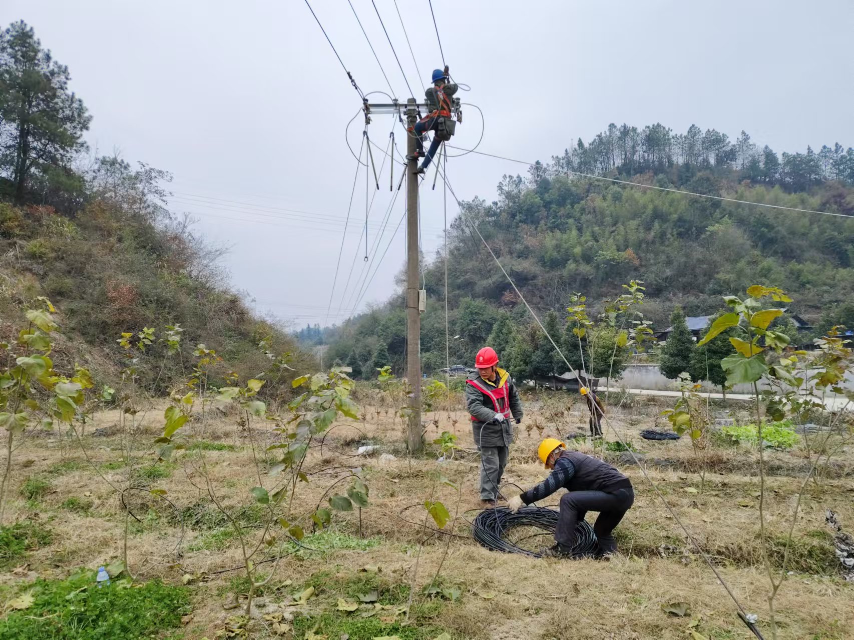 國網(wǎng)中方縣供電公司：村民致富奔小康 優(yōu)質(zhì)供電來護(hù)航