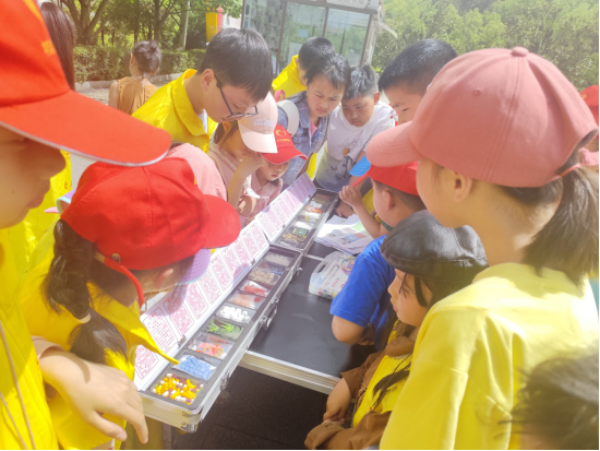 中方县40名“公益小天使”开展禁毒创意涂鸦活动，绘就健康无毒底色
