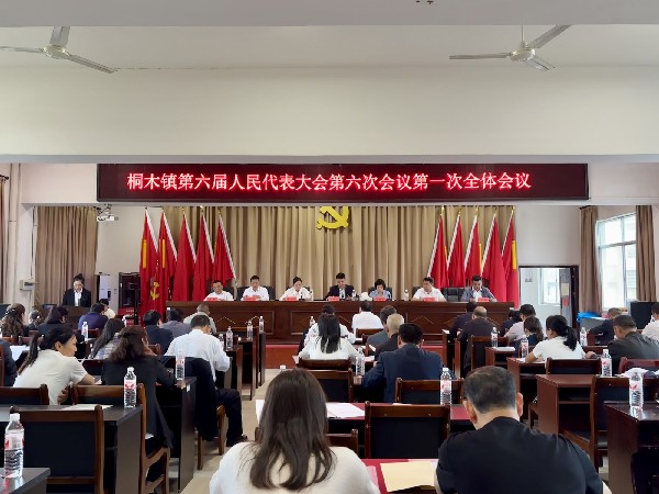 中方县桐木镇第六届人民代表大会第六次会议胜利召开