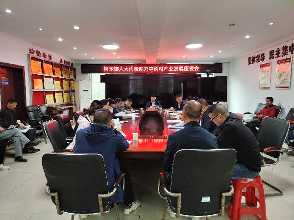 中方县桐木镇召开人大代表助力中药材产业发展座谈会
