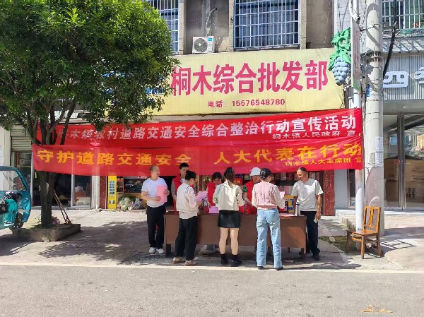 中方县桐木镇人大代表积极行动 筑牢道路交通安全防线