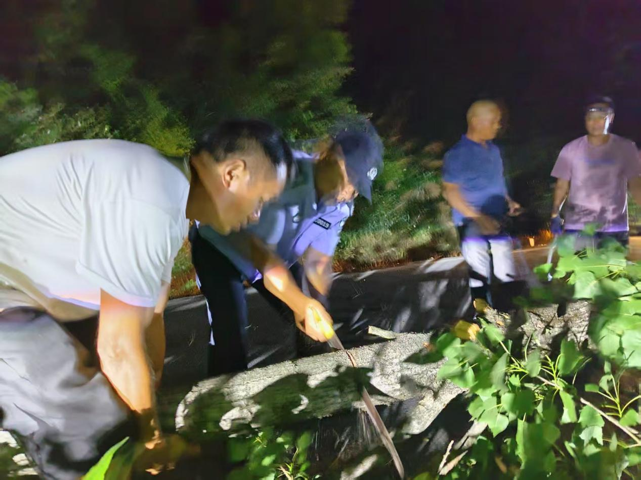大树倒伏变身“拦路虎”！中方县中方镇及时清障保畅通