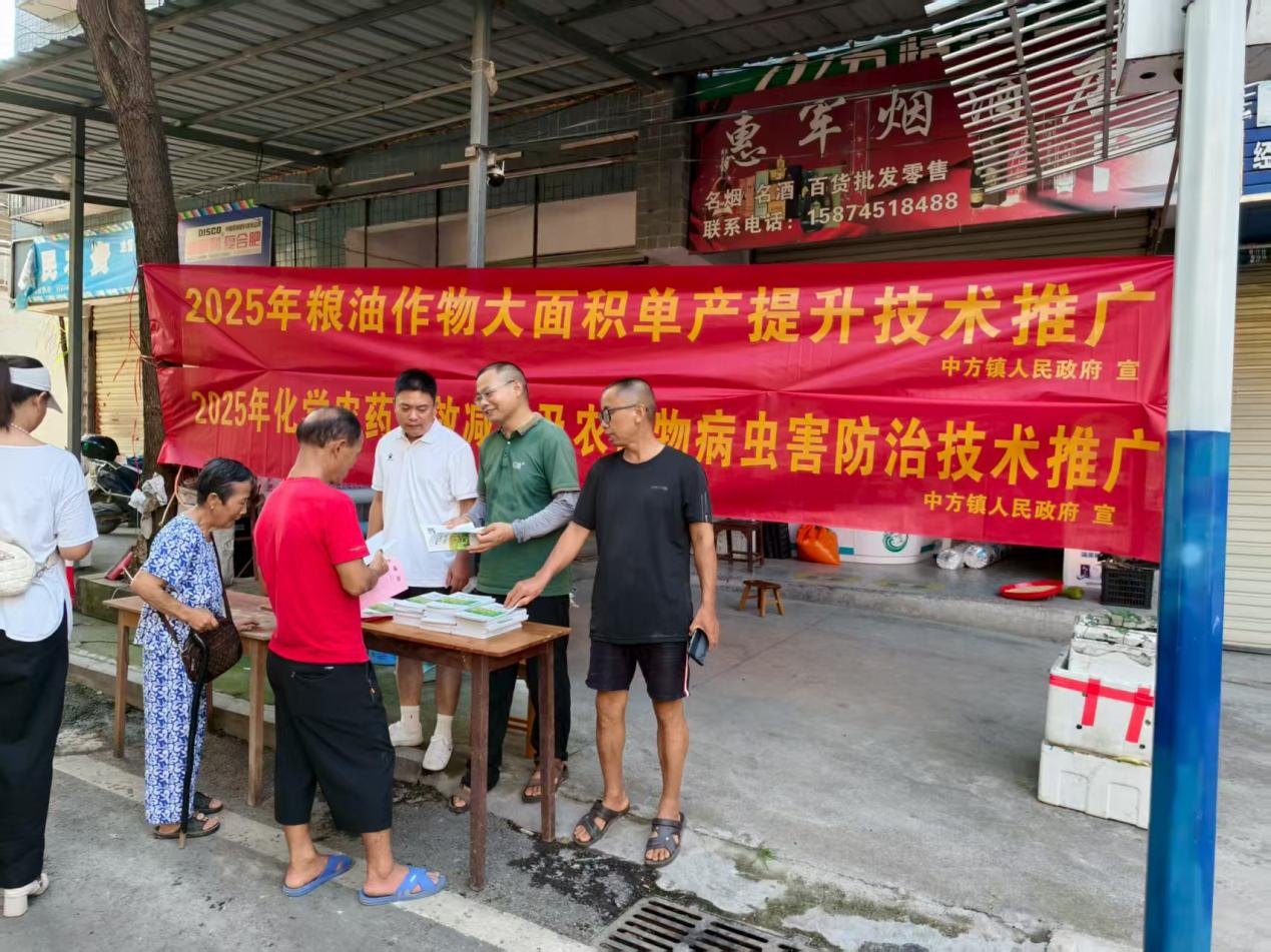中方县中方镇：推广化学农药减量增效技术，助力粮油作物单产提升