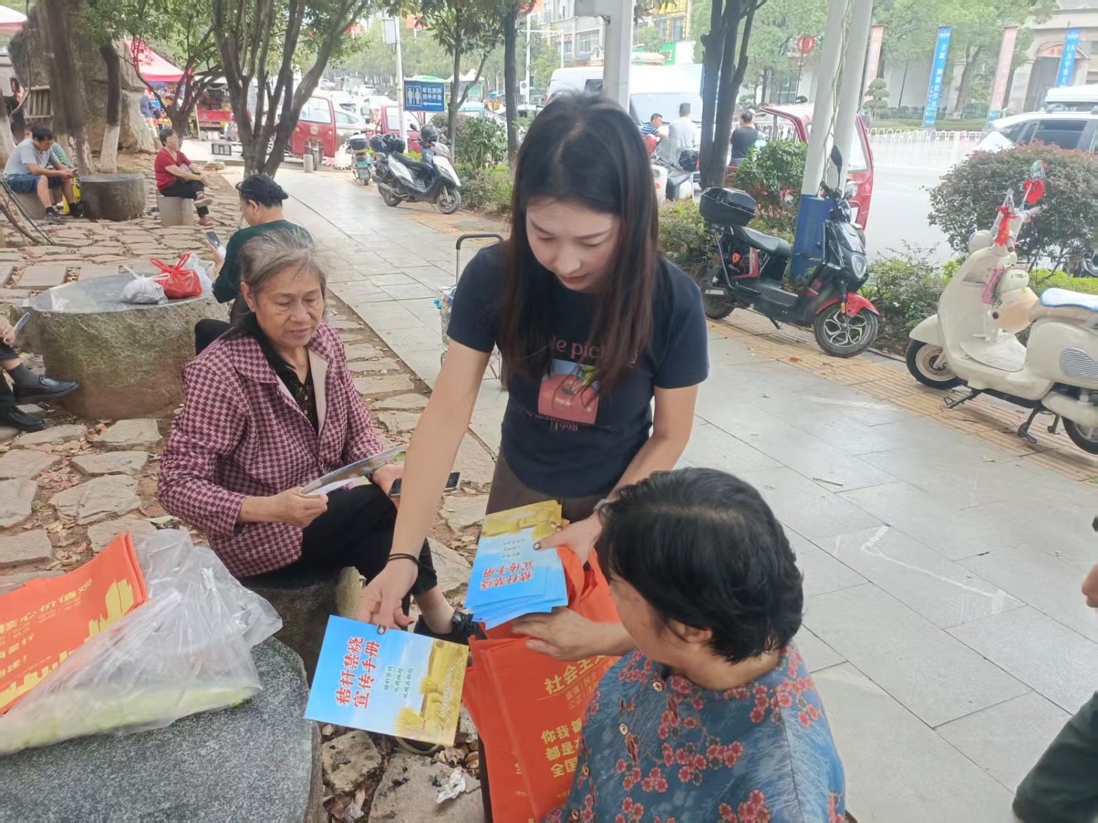 中方县中方镇开展秸秆禁烧宣传 筑牢秋收生态安全防线