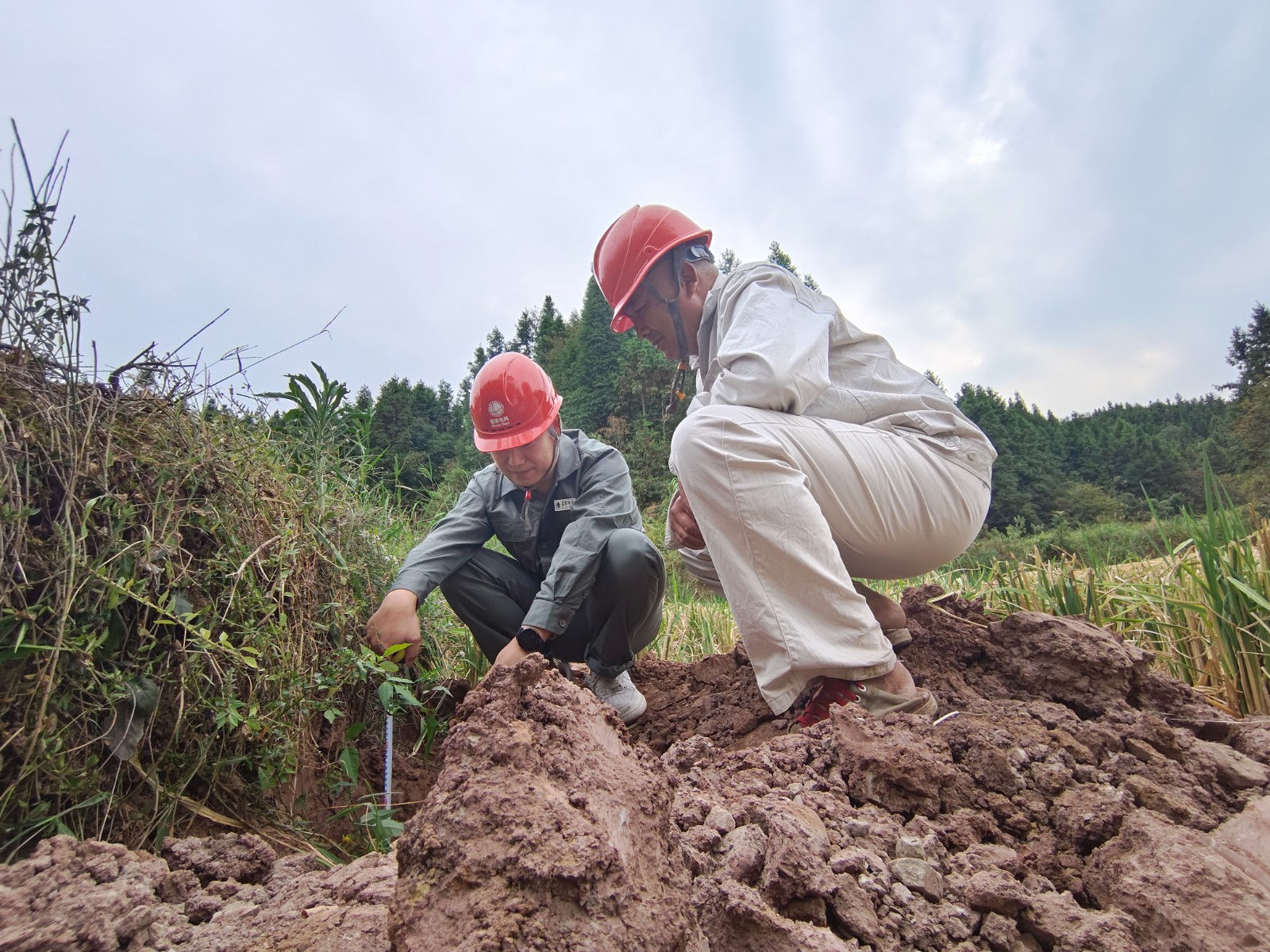 国网中方县供电公司：深秋部署抗冰改造 筑牢冬季供电防线