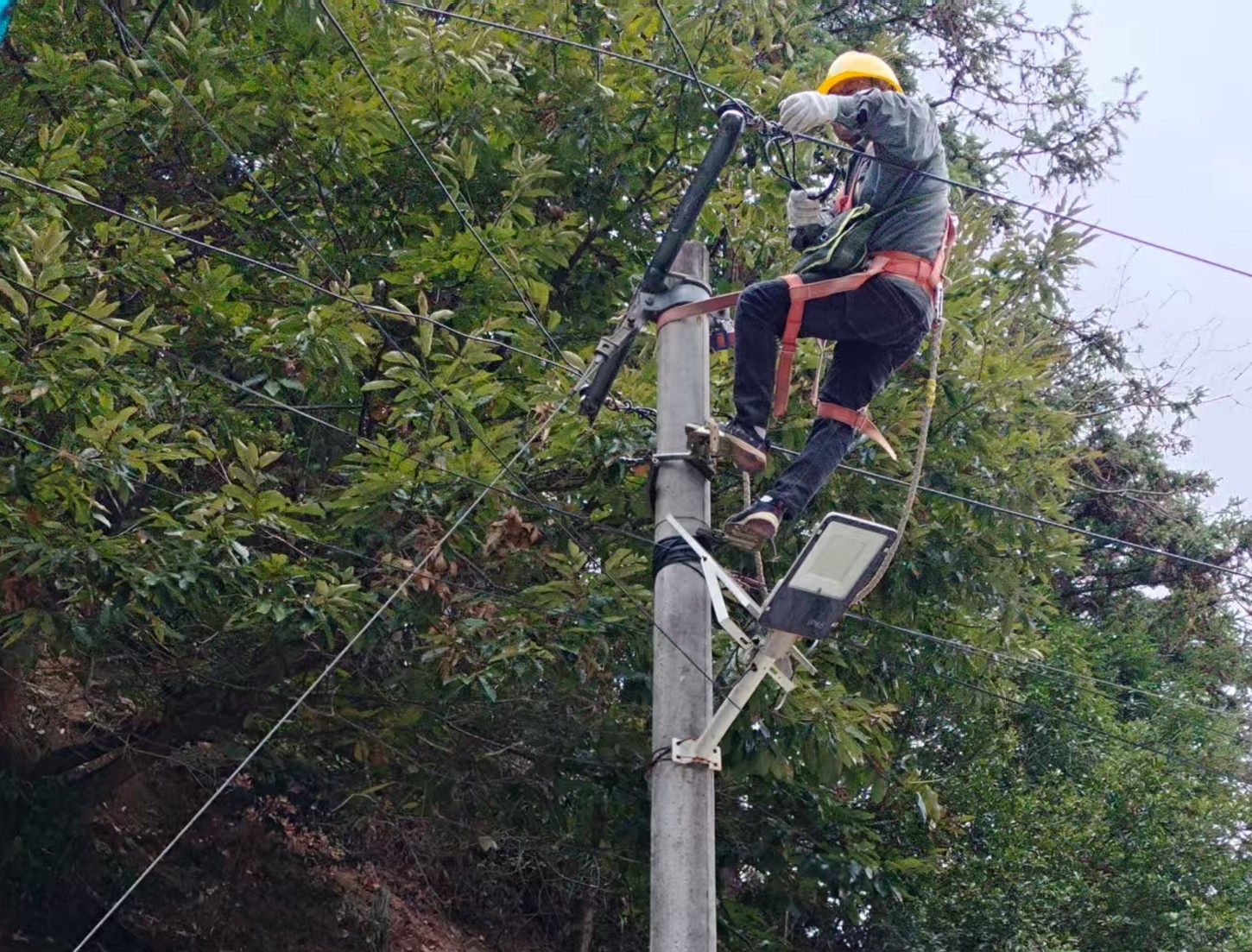 国网中方县供电公司：统筹推进三项配网工程 全面提升全域供电品质