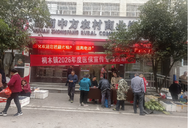 中方县桐木镇开展2026年度医保宣传专项活动