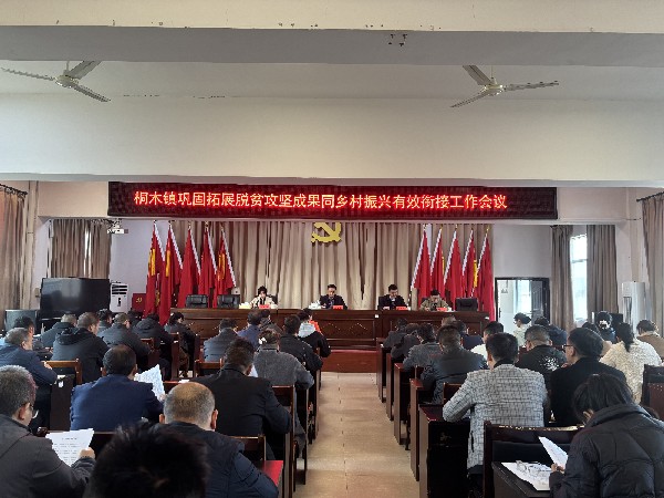 中方县桐木镇巩固拓展脱贫攻坚成果同乡村振兴有效衔接工作会议召开