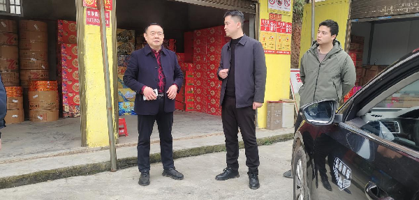 县领导到桐木镇督导检查安全生产等工作