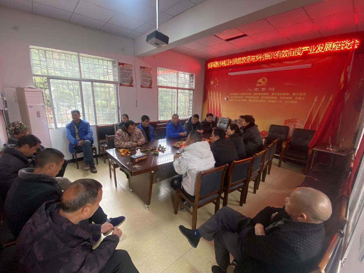 中方县蒿吉坪瑶族乡桃江村“团年”活动暨湘商回归青年返乡创业座谈会圆满举行