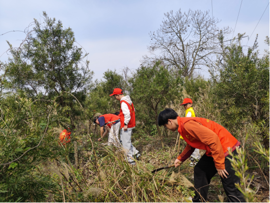 中方县：学雷锋护青绿 青少年志愿行动助力生态文明建设