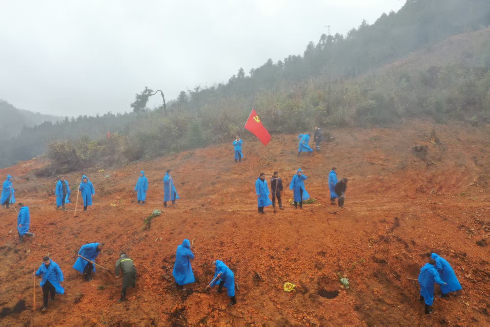 中方县新建镇：青山作答践初心，油茶成林富民生