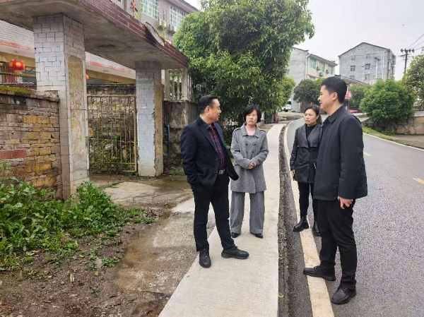 张必忠到桐木镇督导安全生产及防汛备汛等工作