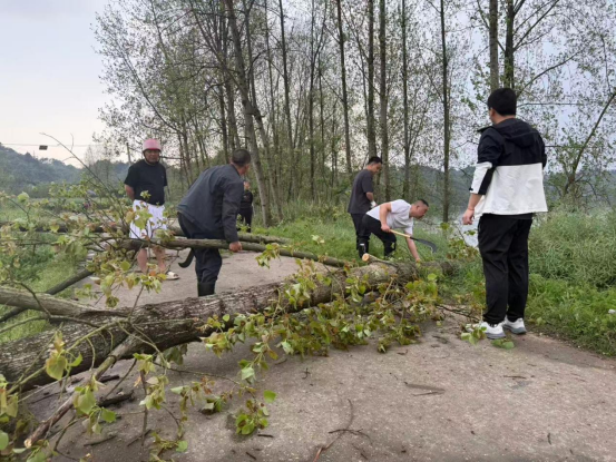 三级联动快速响应 高效处置倒伏险情 中方县全力守护群众出行安全