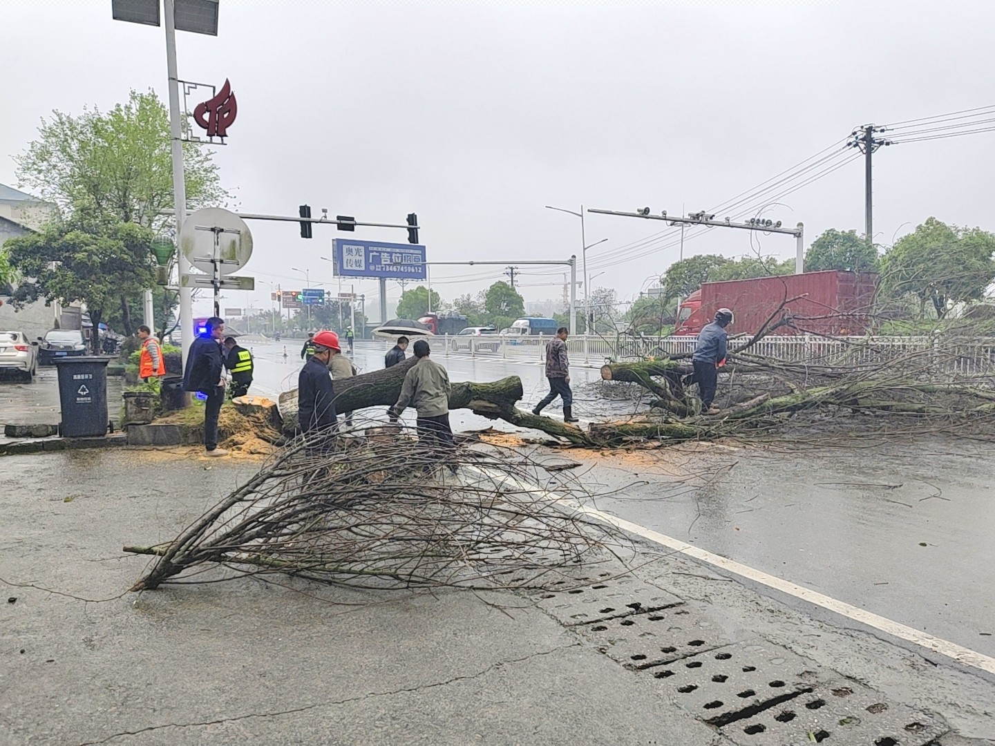 中方县中方镇快速处置枯树隐患 筑牢道路安全防线
