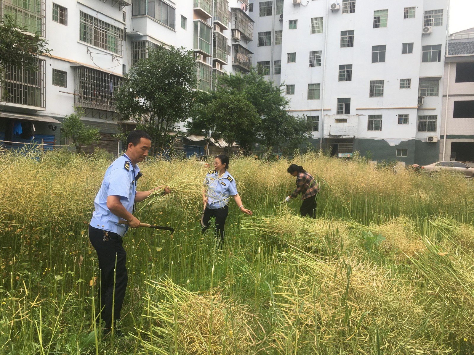 中方县中方镇：多部门联动整治乱象 全力优化小区人居环境