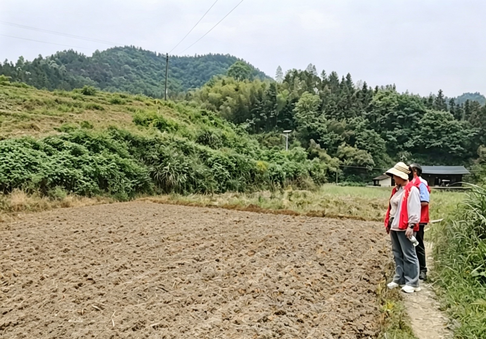 中方县中方镇：抓实秸秆综合利用  严守生态安全防线