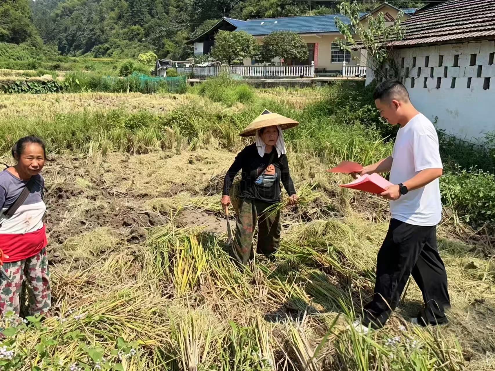 “秸”尽全力防焚烧   守好秋收“蓝天卷” ——中方镇扎实推进秸秆综合利用与禁限烧管控工作